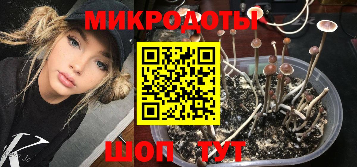 Галлюциногенные грибы ЛСД  Вход с VPN  Карачаевск  Псилоцибиновые грибы MAGIC MUSHROOMS 